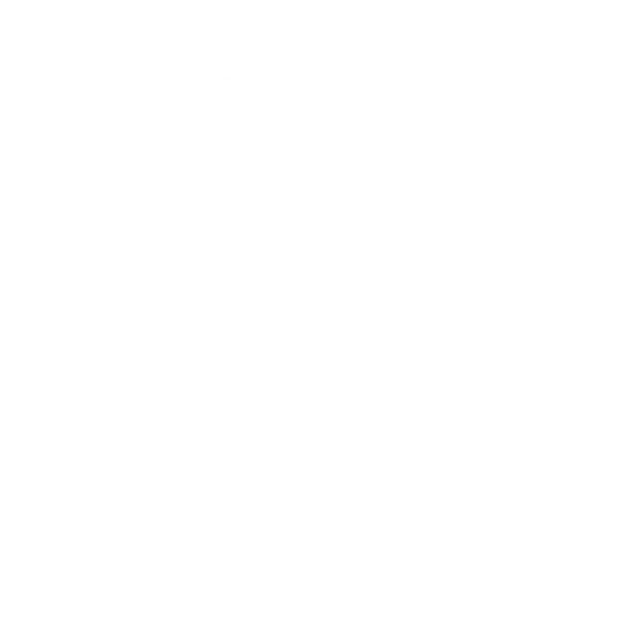 RIS Jaén